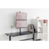 DIGITUS monitoriaus vertikalus laikiklis 17-32 col., maks. 8 kg kiekvienam, spaustuvas arba griovelio laikiklis