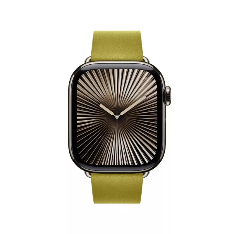 APPLE 42mm Chartreuse Modern Buckle - Large