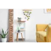 Canon SELPHY QX20 WH nuotraukų spausdintuvas Dažų sublimacija 287 x 287 DPI 2,8 col. x 3,3 col. (7,2x8,5 cm) Wi-Fi