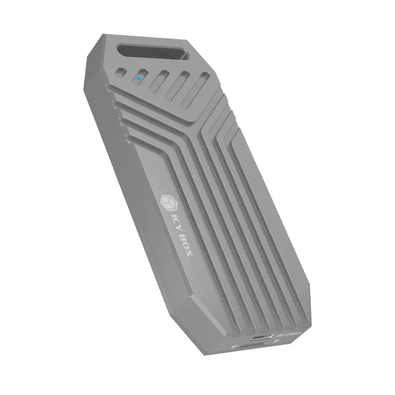 ICY BOX IB-1919M-C42 SSD korpusas Sidabrinis M.2