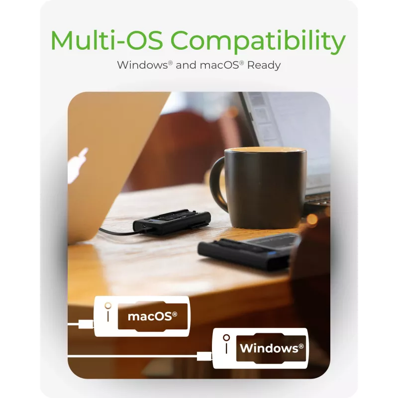 ICY BOX IB-180MS-C31 USB 3.2 Gen 2 (3.1 Gen 1) Type-C Juoda