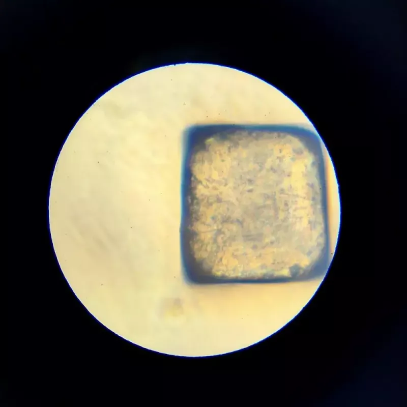 Edukacinis mikroskopas Liscianigiochi Im A Genius 304-PL97388 — vaikų optinis rinkinys su didinimu mokymuisi