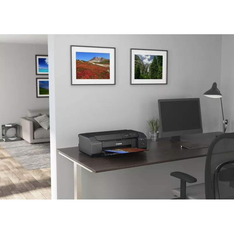 Canon PIXMA PRO-200s nuotraukų spausdintuvas Rašalinis 4800 x 2400 DPI Wi-Fi