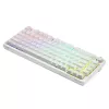 Žaidimų klaviatūra Savio Phenix WHITE GAT Geltona USB Bluetooth QWERTY