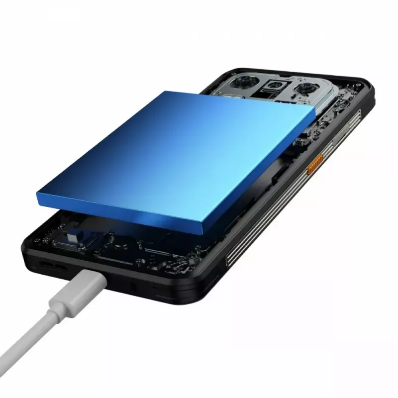 Išmanusis telefonas UleFone Armor 25T 6,0 colio 6/256GB Frost Juoda, energijos klasė B