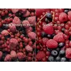Įmontuojamas šaldytuvas Electrolux LNT6NE18S — 257 L, lietiminis valdymas, apačioje esantis šaldiklis, No Frost, baltas