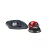 Kensington Slim Duo Gel Mouse/Trackball Wrist Rest -Red, Red, Gel, Thermoplastic polyurethane (TPU), China, MIL-STD-810H Method 504.3 Contamination by Fluids, 192 mm, 72 mm