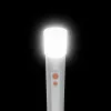 Rankinis žibintuvėlis Hama FL250 LED 3 W aliuminis sidabrinis