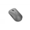 Lenovo Pro Plus 6050 pelė skirta biurui abiem rankoms tinkama RF belaidė + Bluetooth optinė 2400 DPI