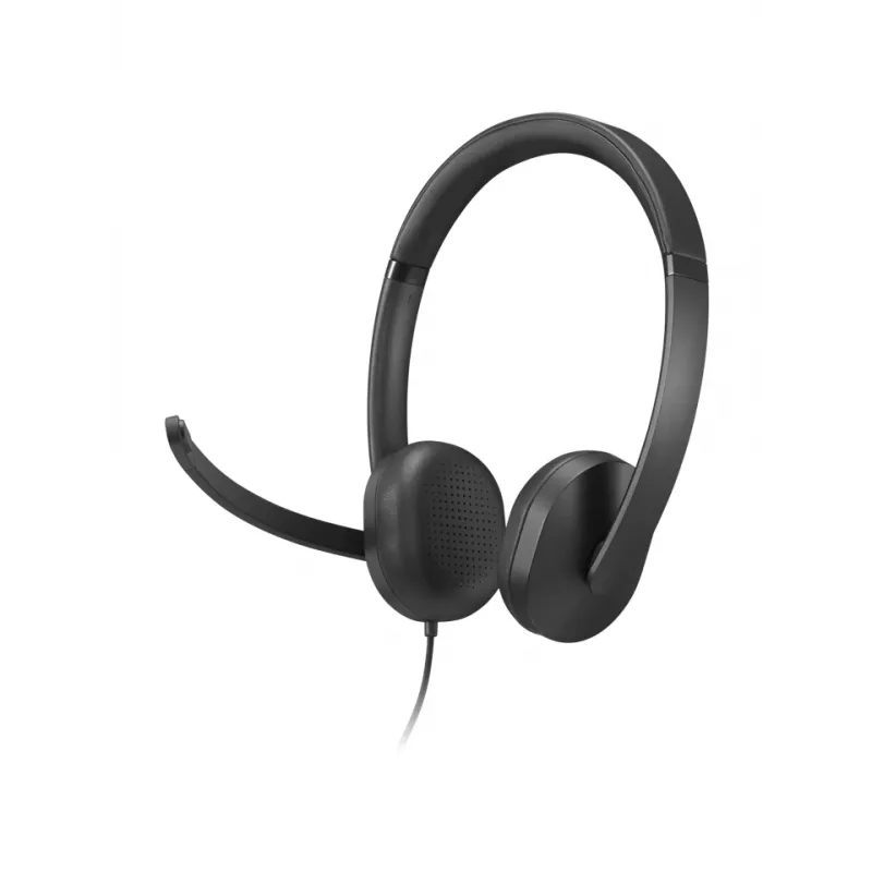 Lenovo VoIP Headset 5000 Laidinės ausinės su galvos lankeliu Biurui / Skambučių centrui USB Type-C Juodos