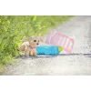 Lėlių augintinis ZAPF BABY born Mano šuniukas Lucky su dėže — tekstilė/plastikas, įvairiaspalvis, amžius 3–12 m., reikia 4×AAA