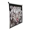 Projekcinis ekranas Elite Screens M99NWS1