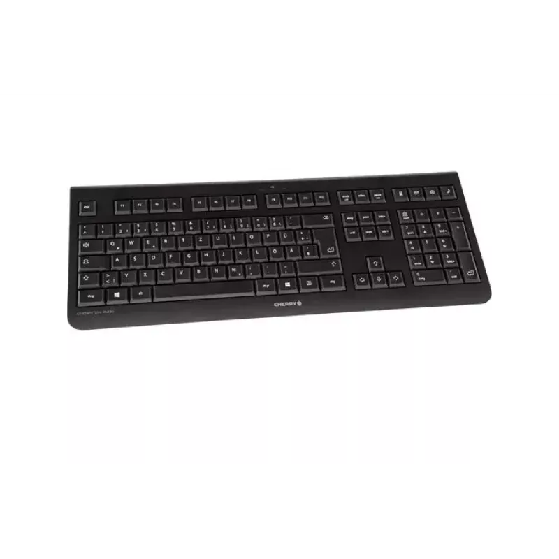 CHERRY DW 3000 klaviatūra Pelė įtraukta Universali RF belaidė AZERTY Prancūziška Juoda