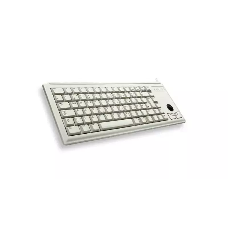 CHERRY G84-4400 klaviatūra universali USB QWERTY US English pilka