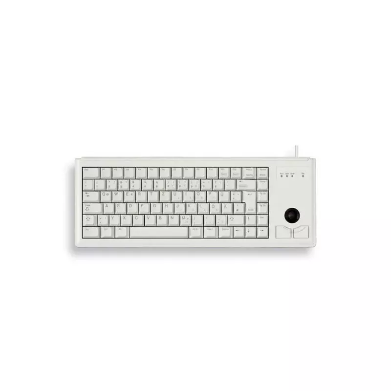 CHERRY G84-4400 klaviatūra universali USB QWERTY US English pilka