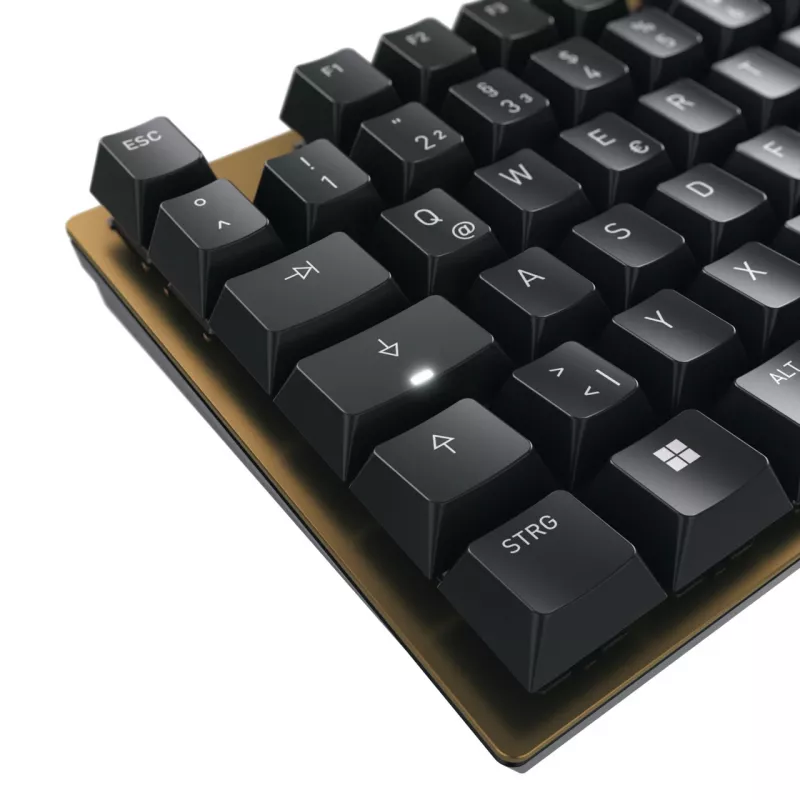 CHERRY KC 200 MX klaviatūra universali USB QWERTZ vokiečių juoda, bronzinė