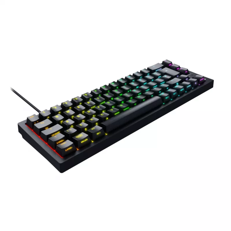 CHERRY K5V2 Compact klaviatūra Žaidimų USB QWERTZ Vokiečių Juoda 68 klavišai RGB LED