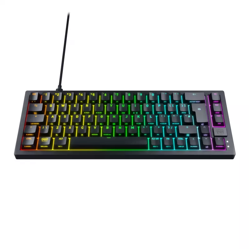 CHERRY K5V2 Compact klaviatūra Žaidimų USB QWERTZ Vokiečių Juoda 68 klavišai RGB LED