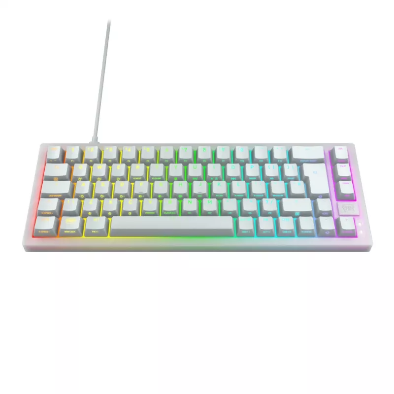 CHERRY K5V2 kompaktiška klaviatūra, skirta žaidimams, USB QWERTZ, vokiečių, balta, 68 klavišai, RGB LED