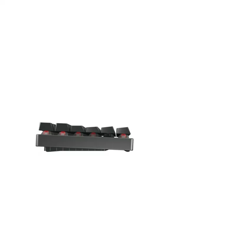 CHERRY MX 8.2 TKL Wireless RGB klaviatūra, skirta žaidimams, RF Wireless + Bluetooth QWERTZ vokiška, juoda