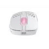 Pelė Xtrfy M4 RGB RF Wireless Optical 19000 DPI