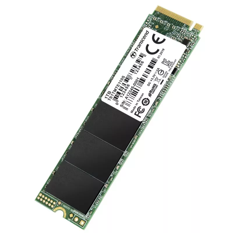 TRANSCEND SSD 110s 1TB M.2 2280 NVMe PCI-E GEN3 x4 Dvipusis