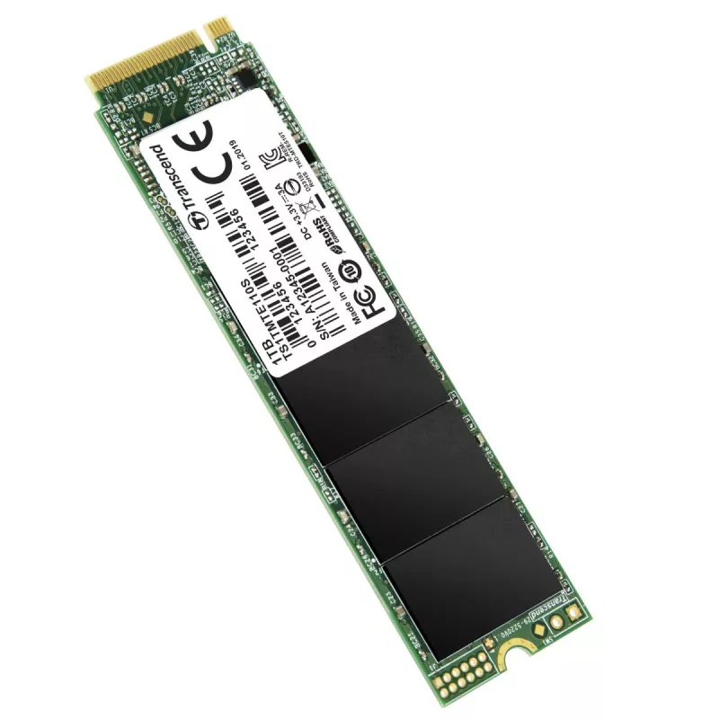 TRANSCEND SSD 110s 1TB M.2 2280 NVMe PCI-E GEN3 x4 Dvipusis