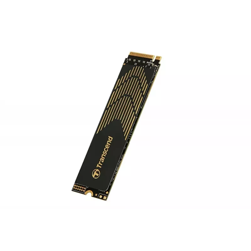 SSD diskas Transcend 1 TB M.2 PCI Express 4.0 NVMe 3D NAND modelis 240S
