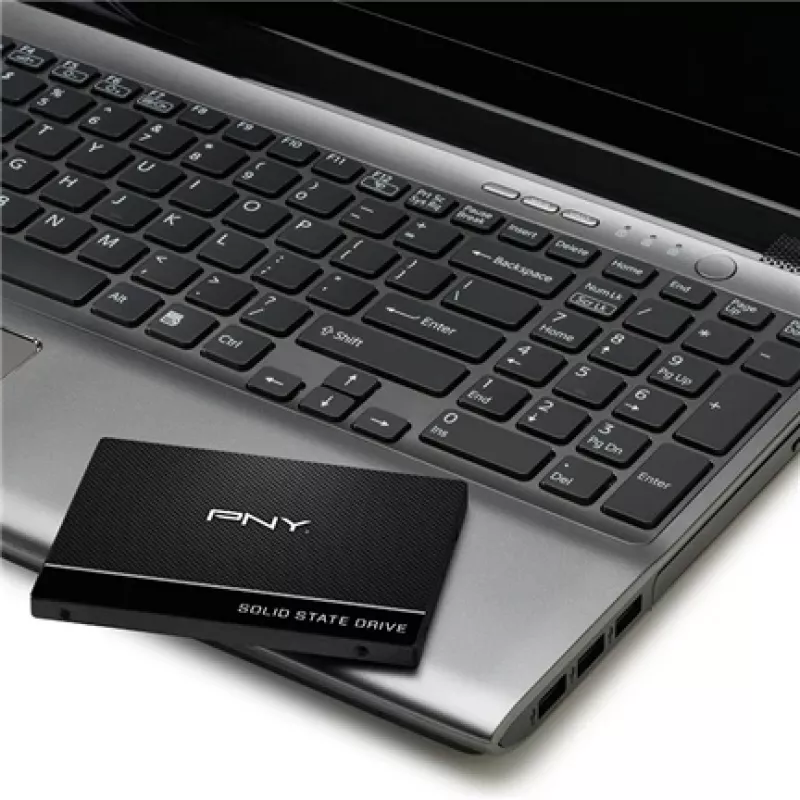 SSD diskas PNY 250 GB 2.5 colio Serial ATA III SSD7CS900-250-RB