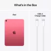 APPLE iPad (2025) - 11 colių - Wi-Fi - 512GB - Rožinė