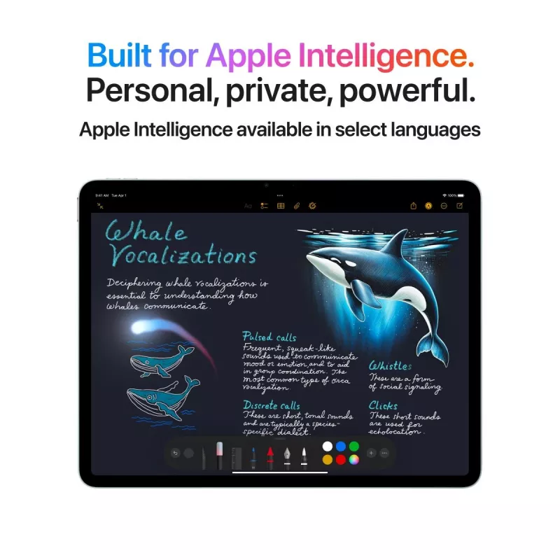 “APPLE iPad Air (2025) - M3 - 13in - 7th Gen - Wi-Fi + Cellular - 256GB - Space Gray”