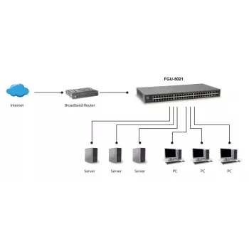 LevelOne 50 prievadų Fast Ethernet komutatorius, 2 x Gigabit SFP/RJ45 Combo