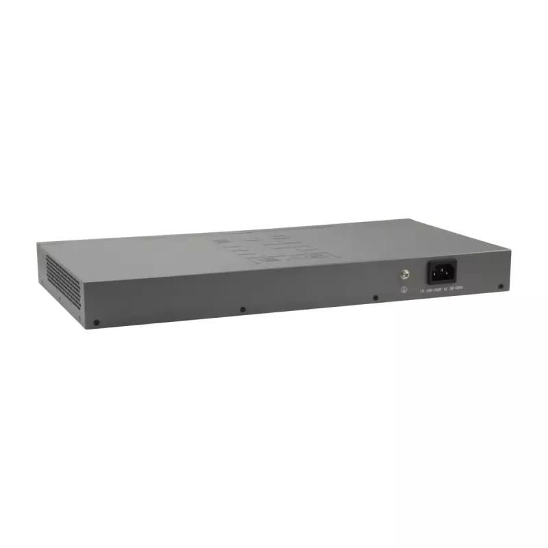 LevelOne 50 prievadų Fast Ethernet komutatorius, 2 x Gigabit SFP/RJ45 Combo
