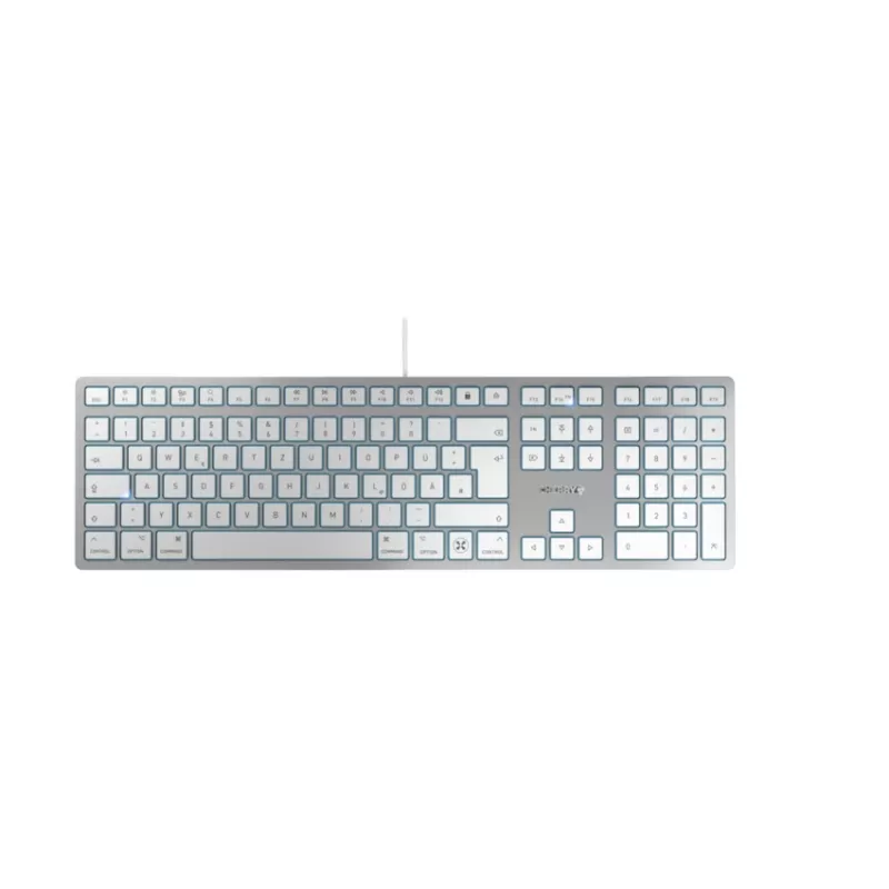 CHERRY KC 6000C FOR MAC klaviatūra Universali USB QWERTZ Vokiška Sidabrinė