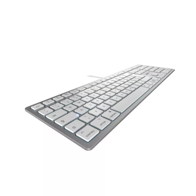 CHERRY KC 6000C FOR MAC klaviatūra Universali USB QWERTZ Vokiška Sidabrinė