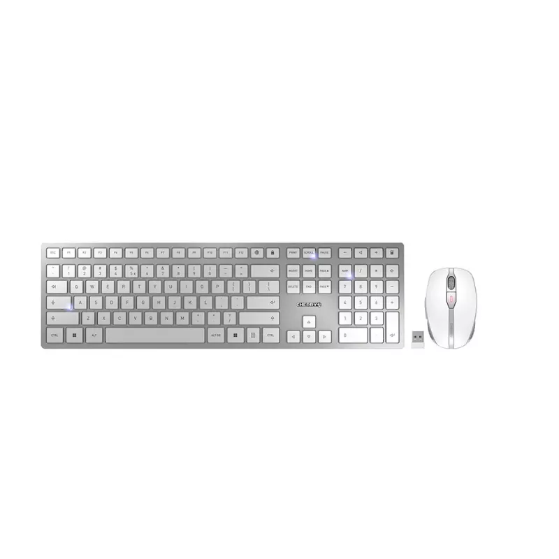 CHERRY DW 9100 plonas klaviatūra, pelė įtraukta, universali, RF belaidis ryšys + Bluetooth, QWERTY, US English, sidabrinė