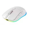 Pelė CHERRY XTRFY M50 Wireless belaidė RF + Bluetooth + USB Type-C