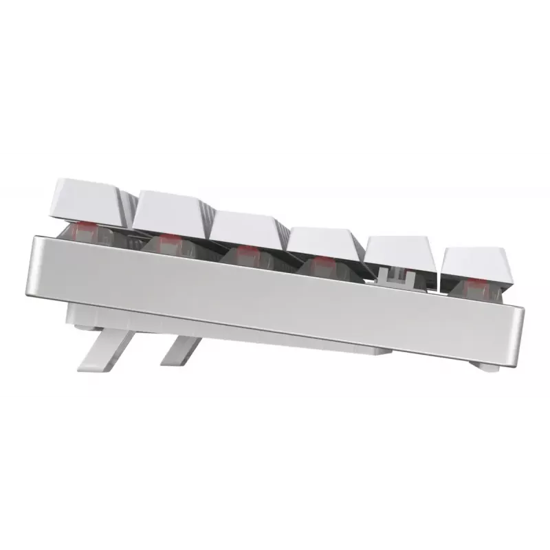 CHERRY MX 8.2 TKL Wireless RGB klaviatūra, skirta žaidimams, USB + RF belaidis + Bluetooth, QWERTZ, vokiška, balta