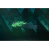 Razer RZ03-03931000-R3G1 žaidimų klaviatūra