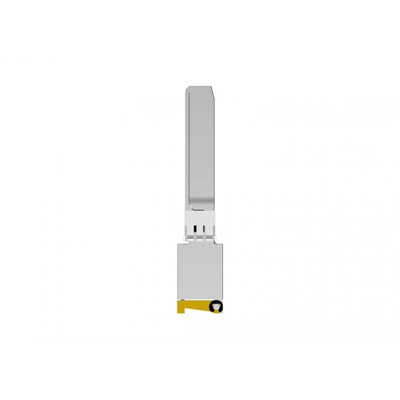 NETGEAR AXM765-20000S tinklo siųstuvo-imtuvo modulis Šviesolaidinis 10000 Mbit/s SFP+