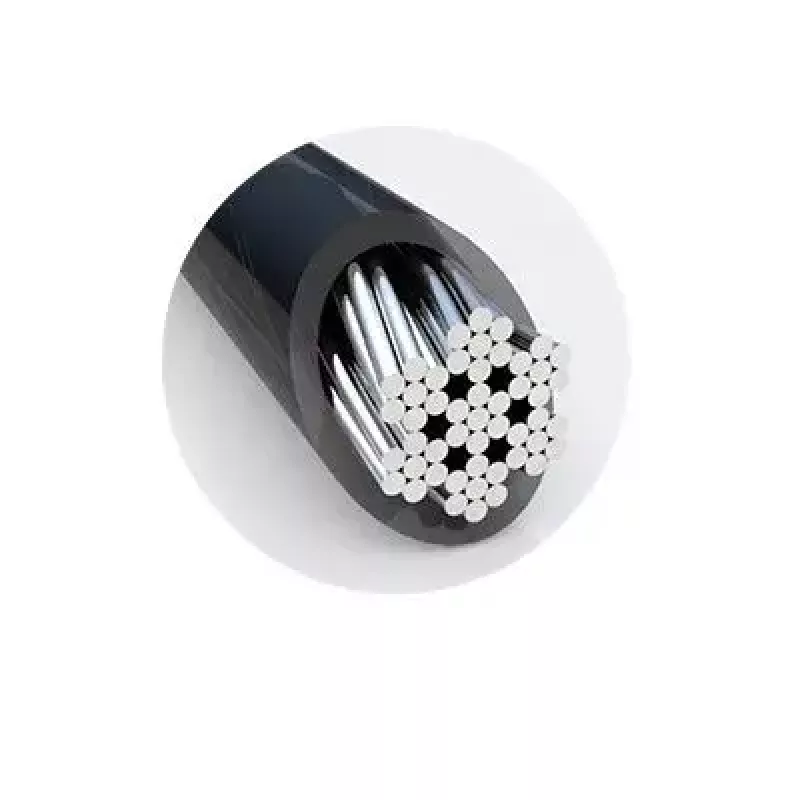 Kombinuota spyna Kensington K62316WW Universal 3-in-1 perrašoma