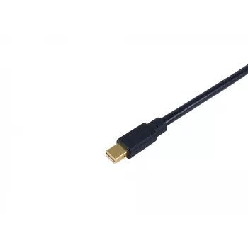 Equip Mini DisplayPort į DisplayPort kabelis, M/M, 2,0 m