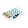 Equip MTP/MTP magistralinio pluošto optinis komutacinis kabelis, OM4, 3 m