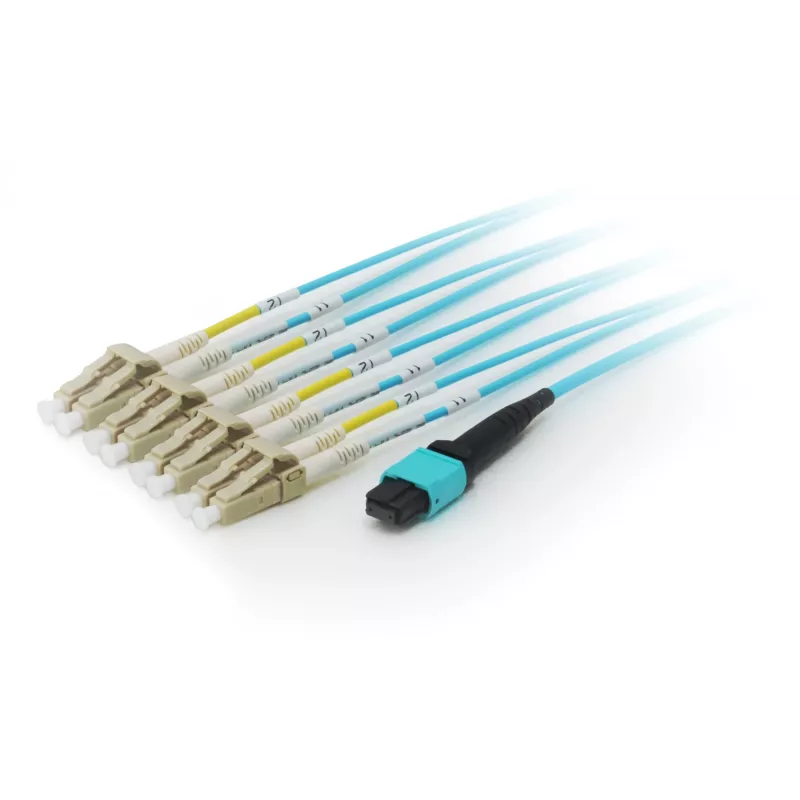 Equip MTP/MTP magistralinio pluošto optinis komutacinis kabelis, OM4, 3 m