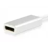 Equip USB Type C į DisplayPort adapteris, 4096 x 2160 pikselių