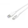 Equip USB 3.2 Gen 1 Type-C į A kabelis, M/M, 1 m, 1 m, USB A, USB C, USB 3.2 Gen 1 (3.1 Gen 1), 5 Gbit/s, Balta