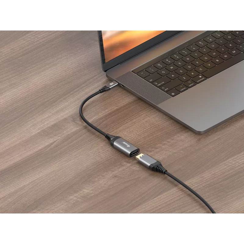 Equip USB-C prie DisplayPort 1.4 adapteris 8K 30Hz 0.15m
