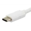 USB Type C prie HDMI moteriškos / USB A moteriškos / PD adapteris Equip 133461