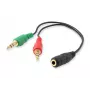 Equip garso skirstytuvas, juodas, 3,5 mm, 2 x 3,5 mm, lizdas, kištukas, PVC