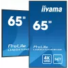 „iiyama LH6541UHS-B1AG“ reklaminis ekranas 163,8 cm (64,5 col.) LCD 500 cd/m² 4K Ultra HD juodas 24/7